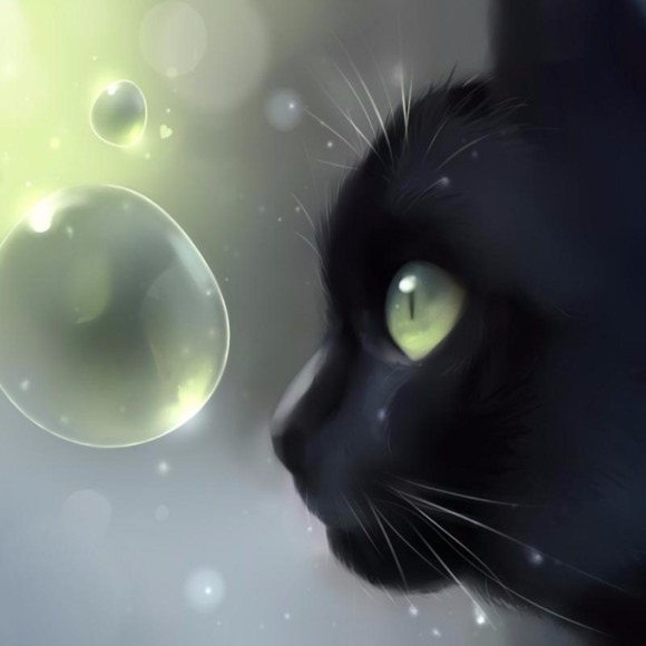 bubblekittykat